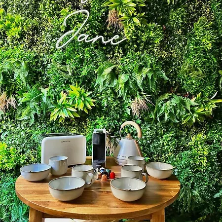 Jungle Chic Pour Couple Avec Parking Centre De * Nîmes
