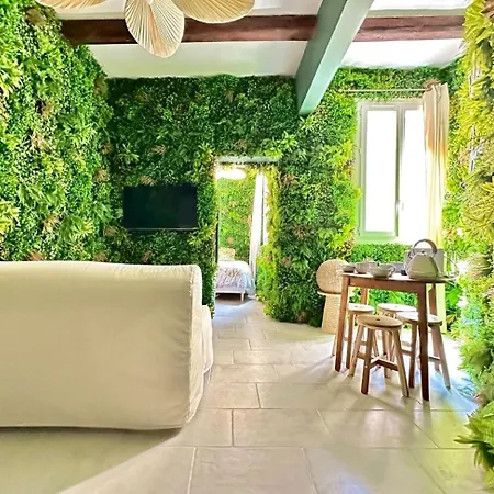 Jungle Chic Pour Couple Avec Parking Centre De